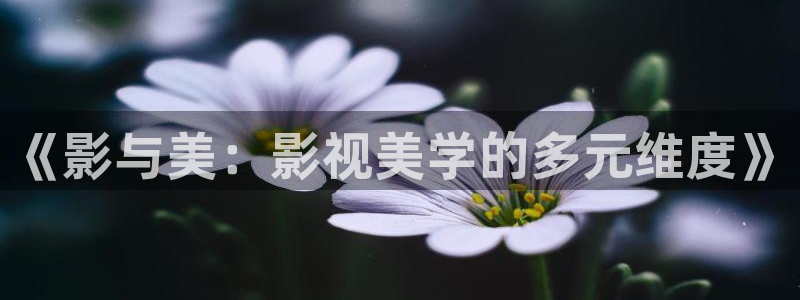 桃花av在线播放：《影与美：影视美学的多元维度》